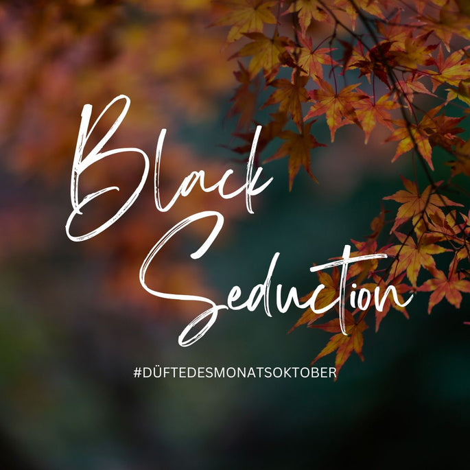 Düfte des Monats Oktober - Black Seduction