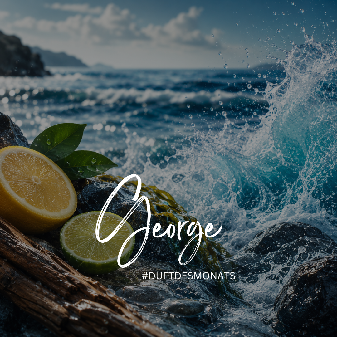 Raumduft George – die kraftvolle Frische des Meeres