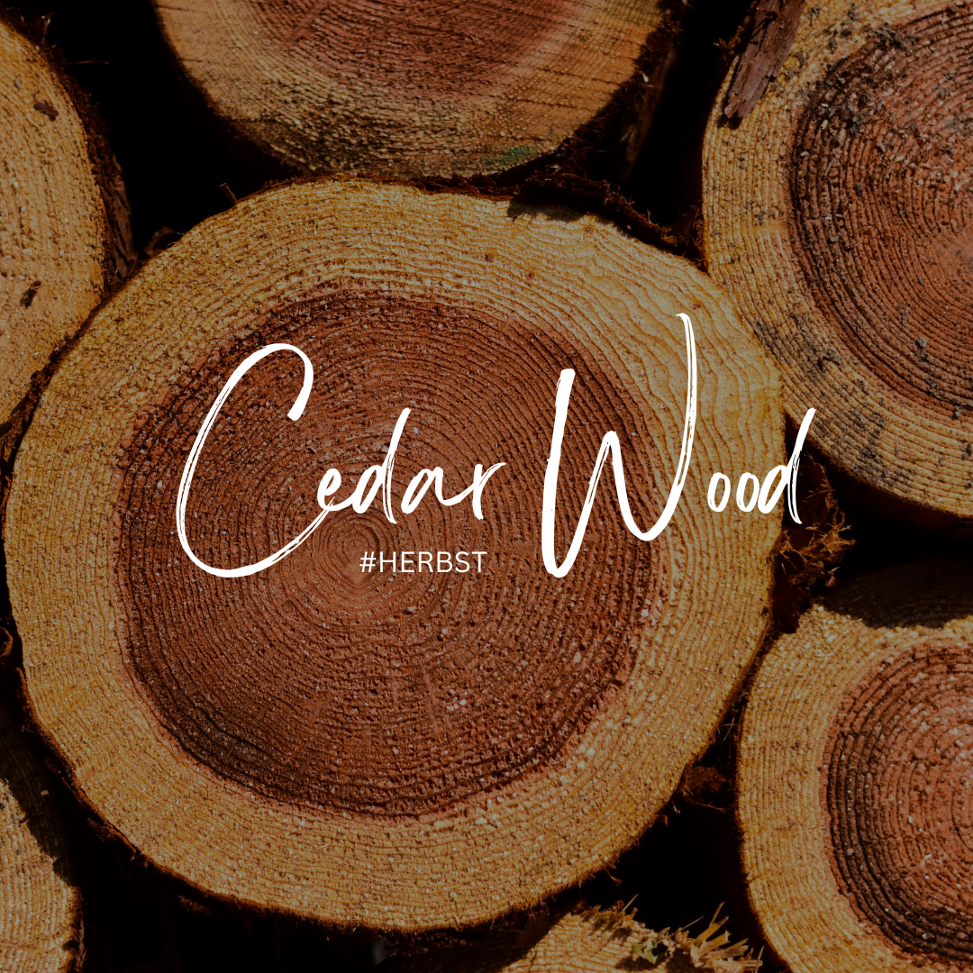 Mit Cedar Wood die Natur nach Hause holen