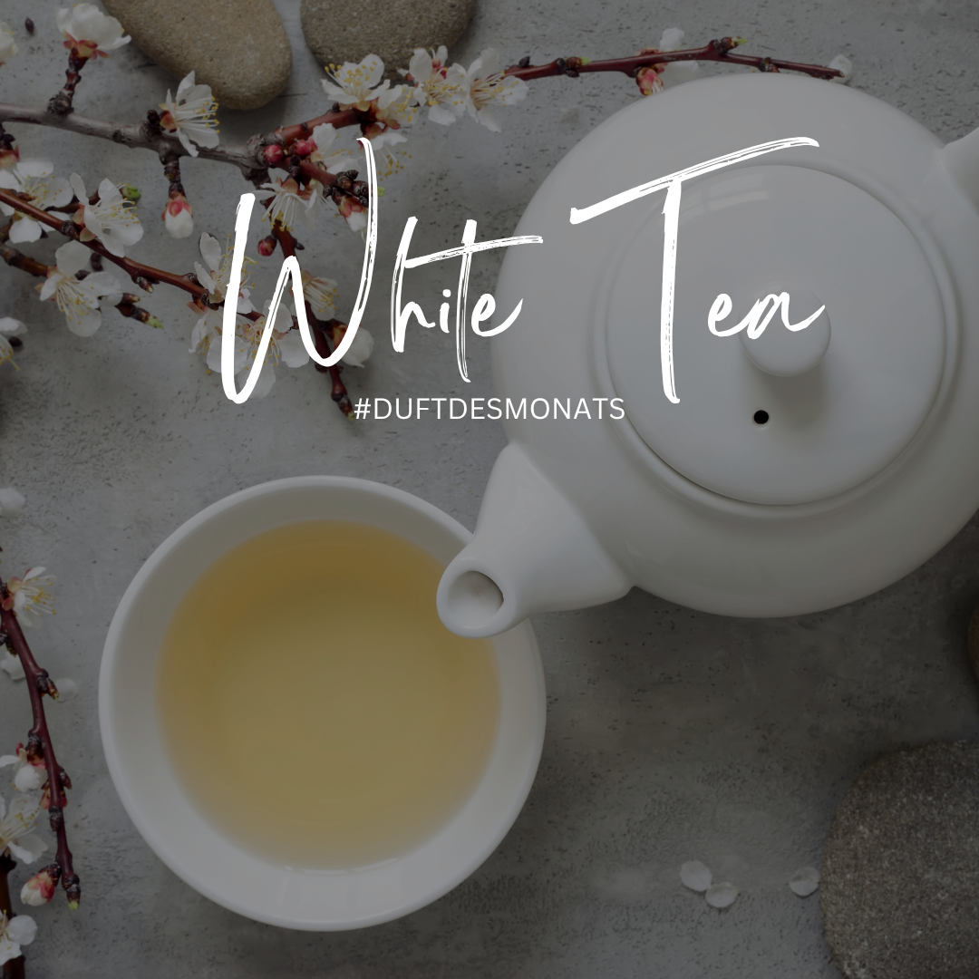 Raumduft White Tea: Leichte Frische für gemütliche Herbsttage