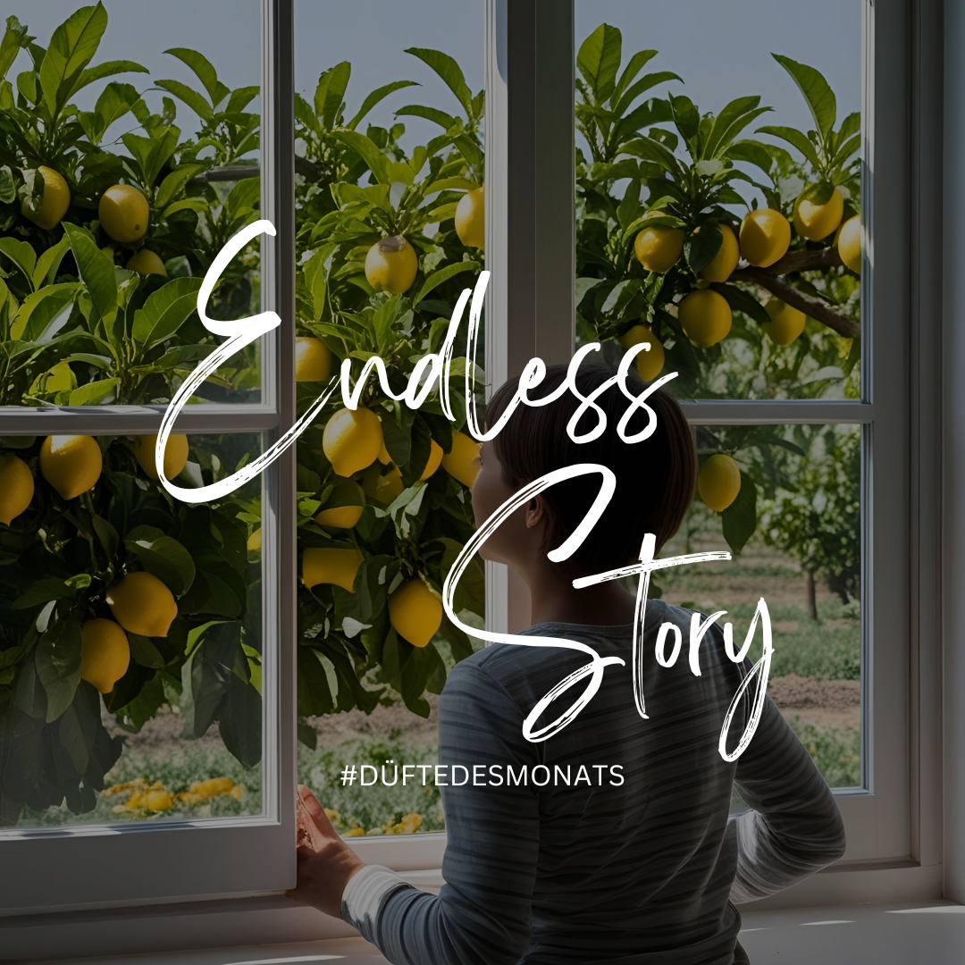 Endless Story – Mehr als nur ein Raumduft – Duftoase Shop