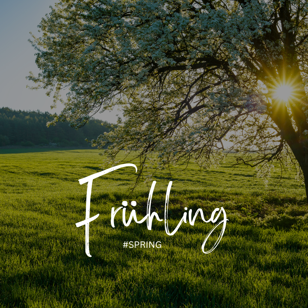 Der Frühling beginnt nicht draußen – sondern bei dir