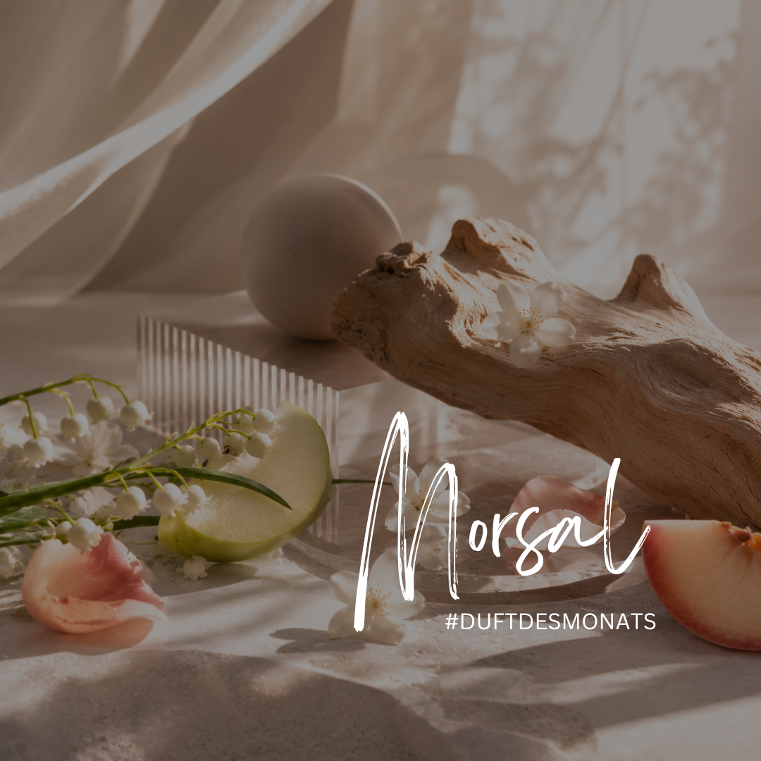 Morsal – Die Kunst dezenter Eleganz