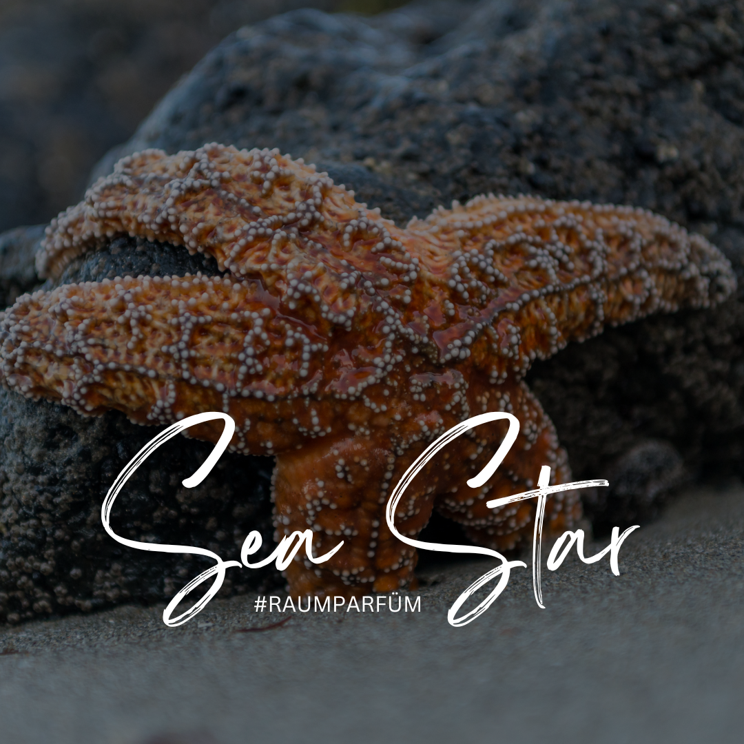 Sea Star – Der Duft, der Ihr Zuhause vom Winter in den Frühling bringt