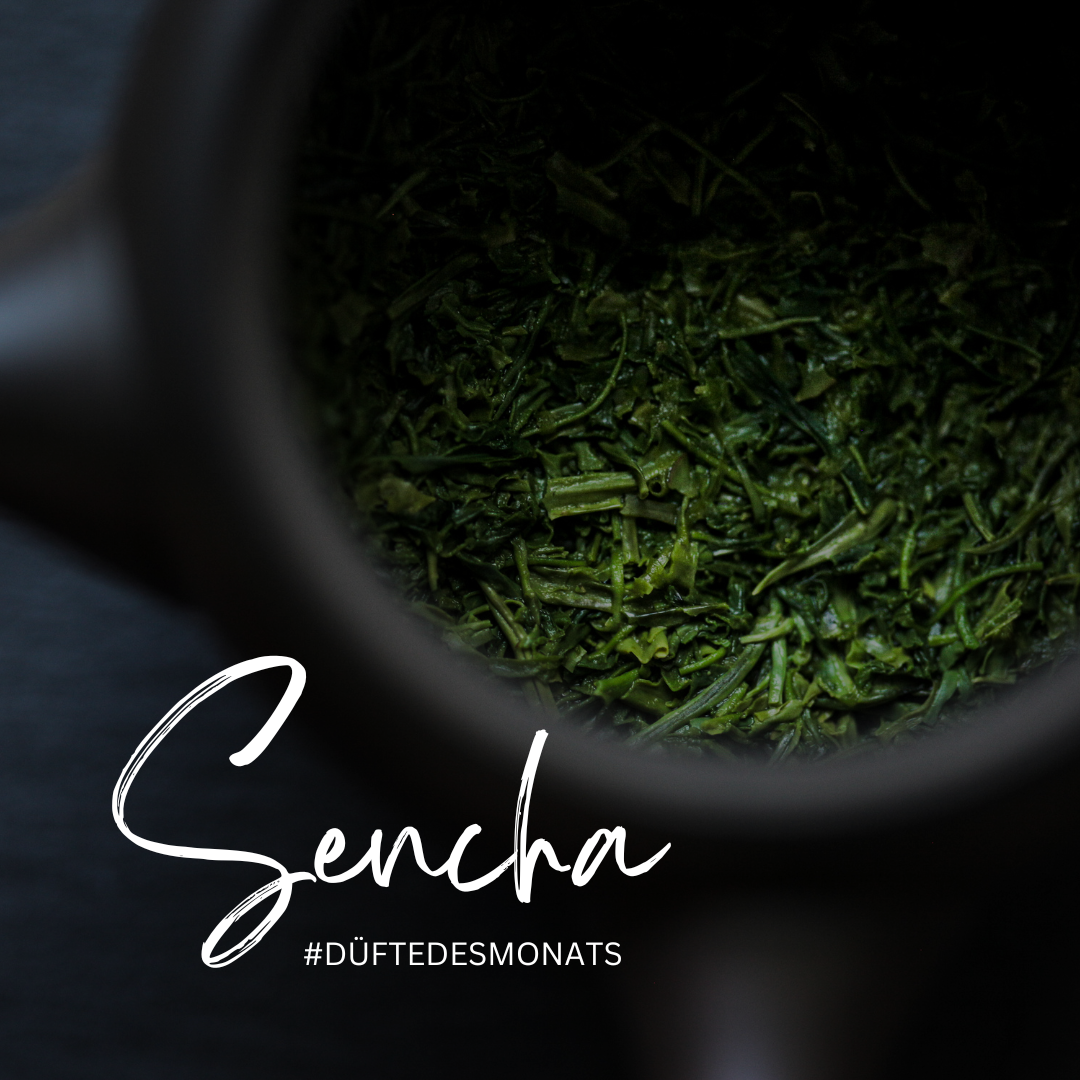 Sencha – japanische Lebensfreude