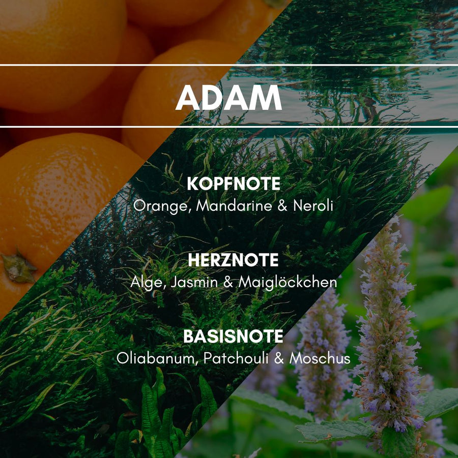 Raumduft "Adam":  Diese Parfümkomposition wirkt angenehm duftend durch die Basis- und Herznoten Patchouli, Moschus, Jasmin & Maiglöckchen sowie einem erfrischenden Spritzer Orange und Mandarine.