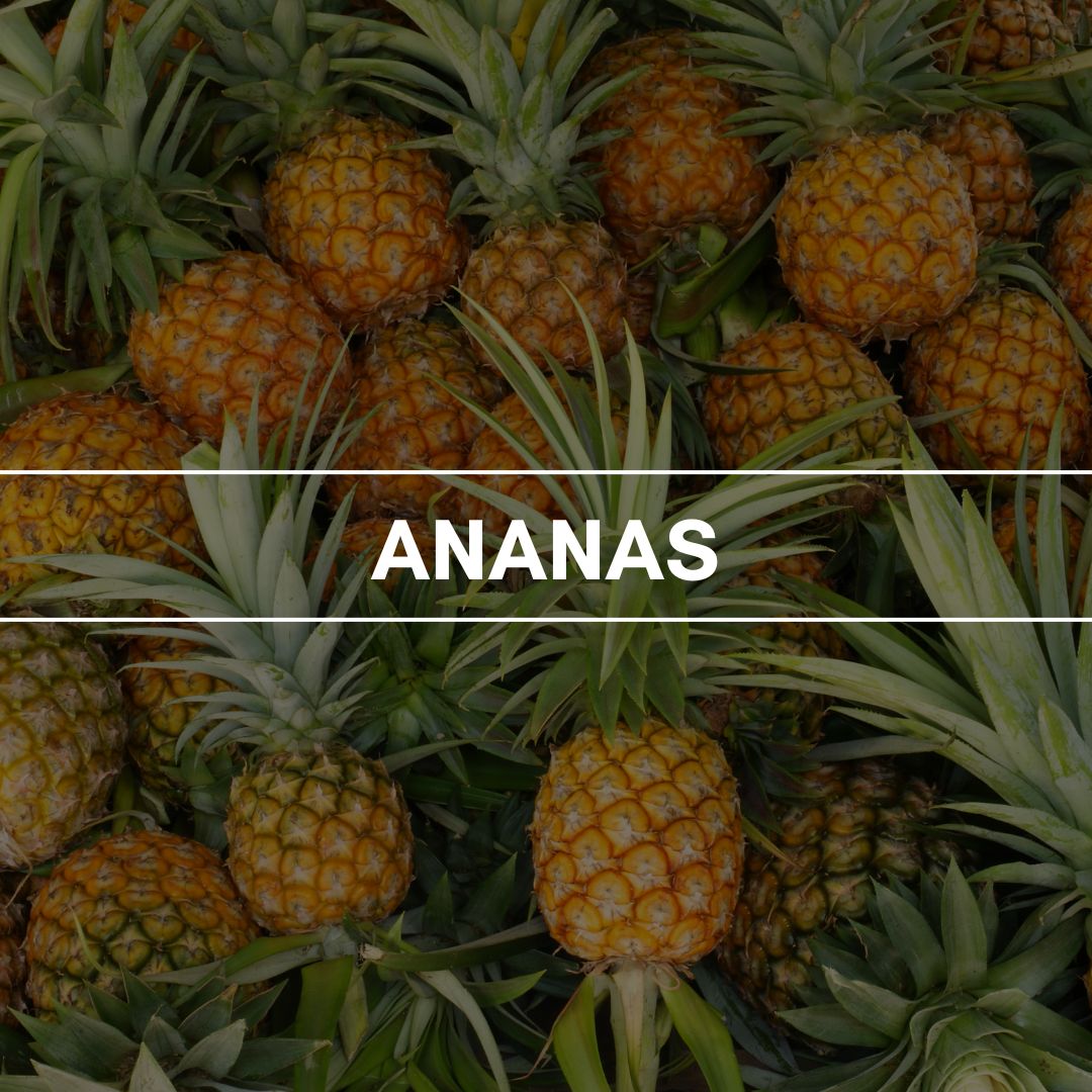 Raumduft "Ananas": Ein stimmungsaufhellender, tropisch fruchtiger und süßlicher Ananasduft.
