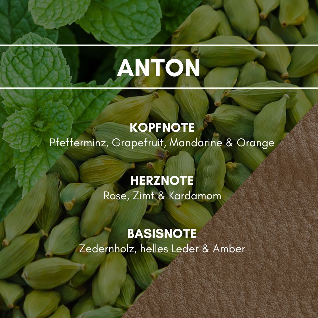 Raumduft "Anton": Der maskuline und doch sinnliche Duft von Leder und Amber erhält einen besonderen Charme durch fruchtige und sanfte grüne Elemente.