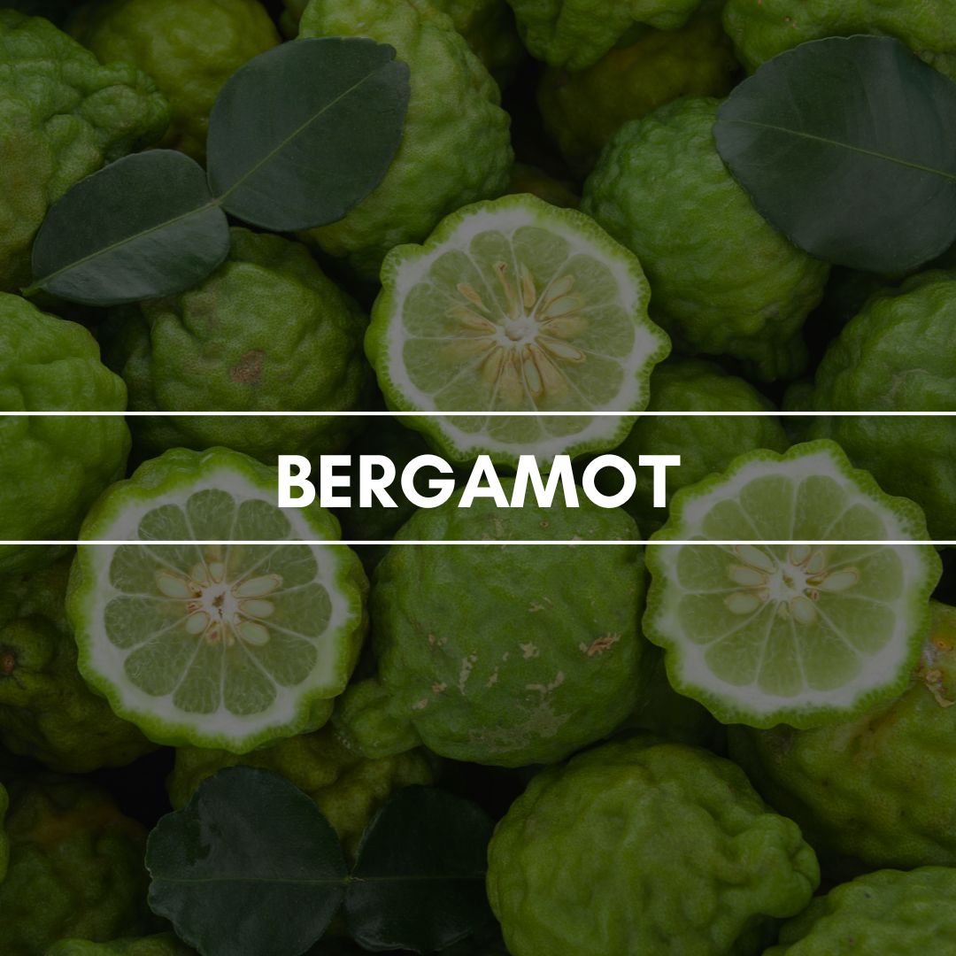 Duftpyramide Bergamot