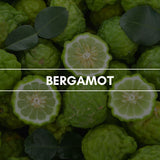 Duftpyramide Bergamot