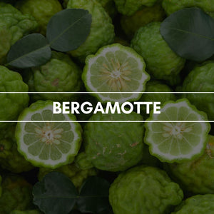 Raumduft "Bergamotte": Halb Zitrone, halb Bitterorange ist dies ein klarer, frischer und spritziger Duft der kalabrischen Frucht. Er belebt den Körper und den Geist durch sein fruchtig frisches Zitrusaroma.