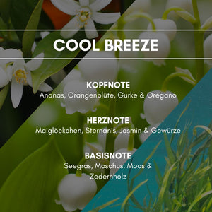 Raumduft "Cool Breeze": Sanfte Duftnoten von Seegras, Moos und Zedernholz, vereint mit Maiglöckchen, Orangenblüte und weißem Moschus. Ein Hauch von Oregano und Gurke erweckt den Duft zum Leben.