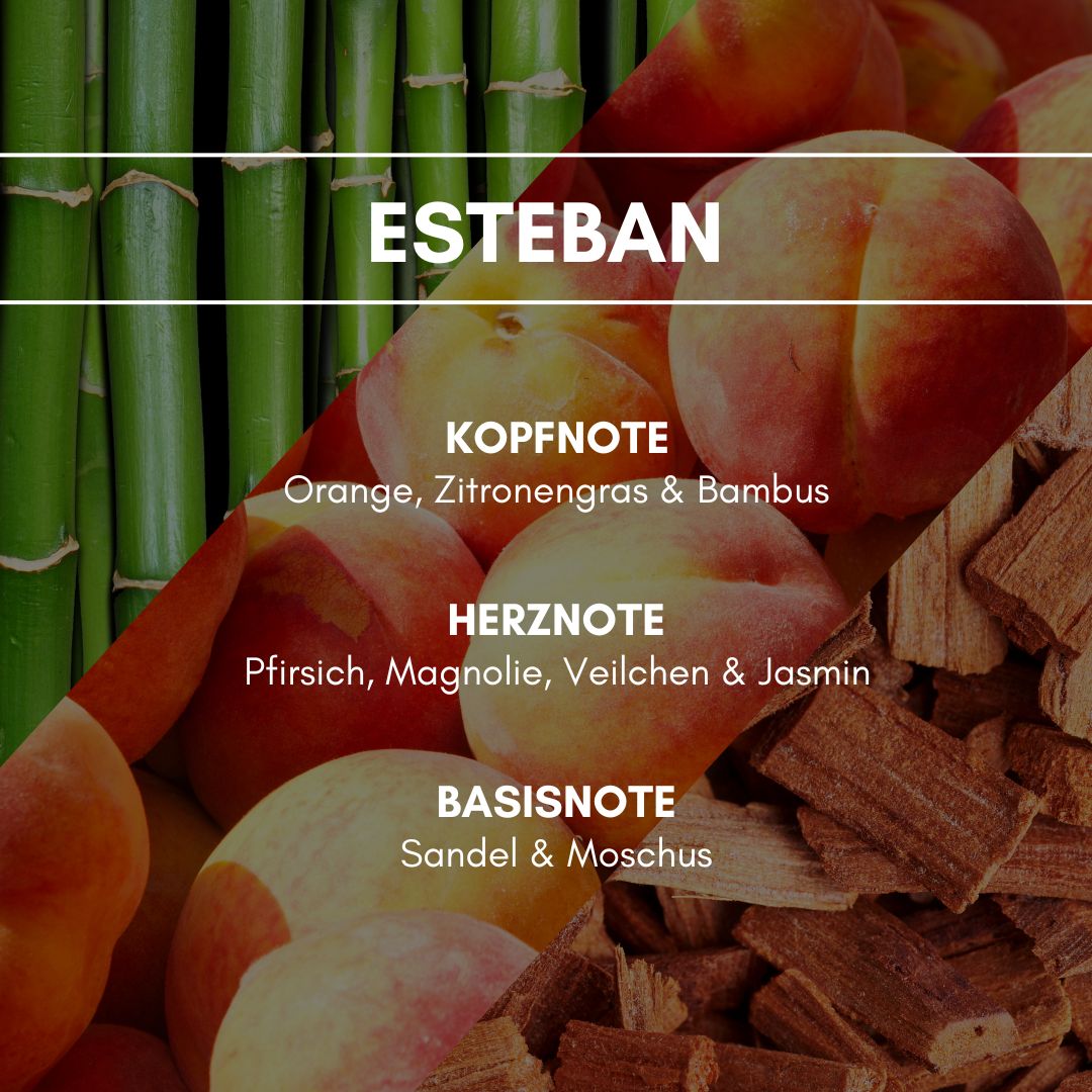 Raumduft "Esteban": Eine blumig balsamische Essenz mit Veilchen und fruchtigen Bambus- Zitronengras-Aspekten erhellt die Sinne und stärkt das Wohlbefinden.