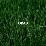 Gras: Ein Hauch von frisch gemähtem grünen Gras, das von Wassertropfen umspielt wird.
