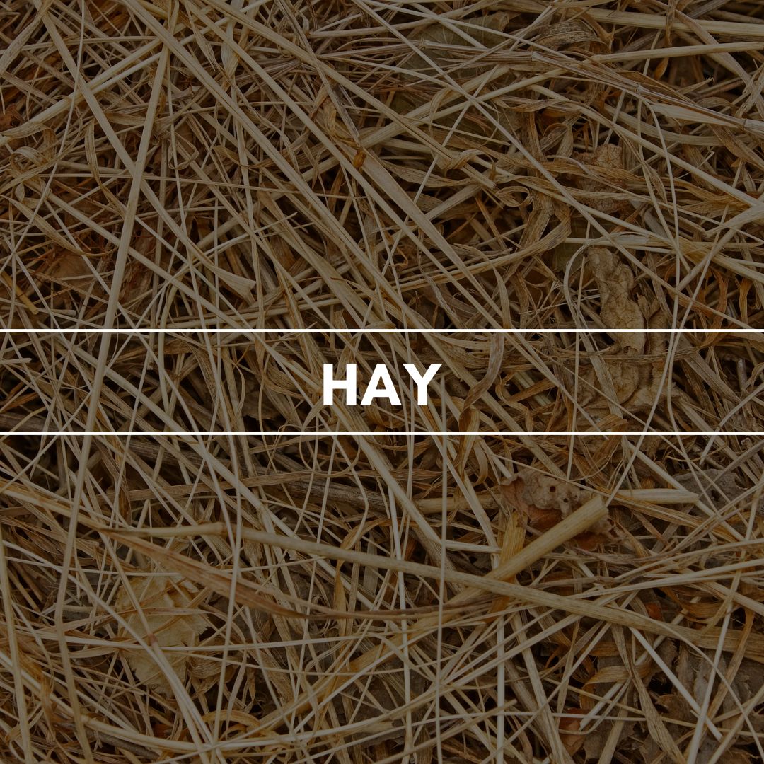 Duftpyramide Hay