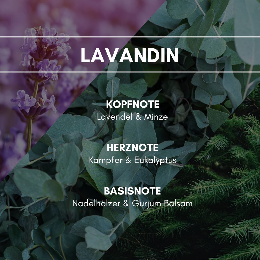Raumduft "Lavandin": Zarte Lavendelnoten, umspielt von frischer Minze und Eukalyptus, bestimmen diesen Duft. Grüne Noten von Kampfer und Nadelhölzern runden dieses entspannende und zugleich erfrischende Bouquet ab. 