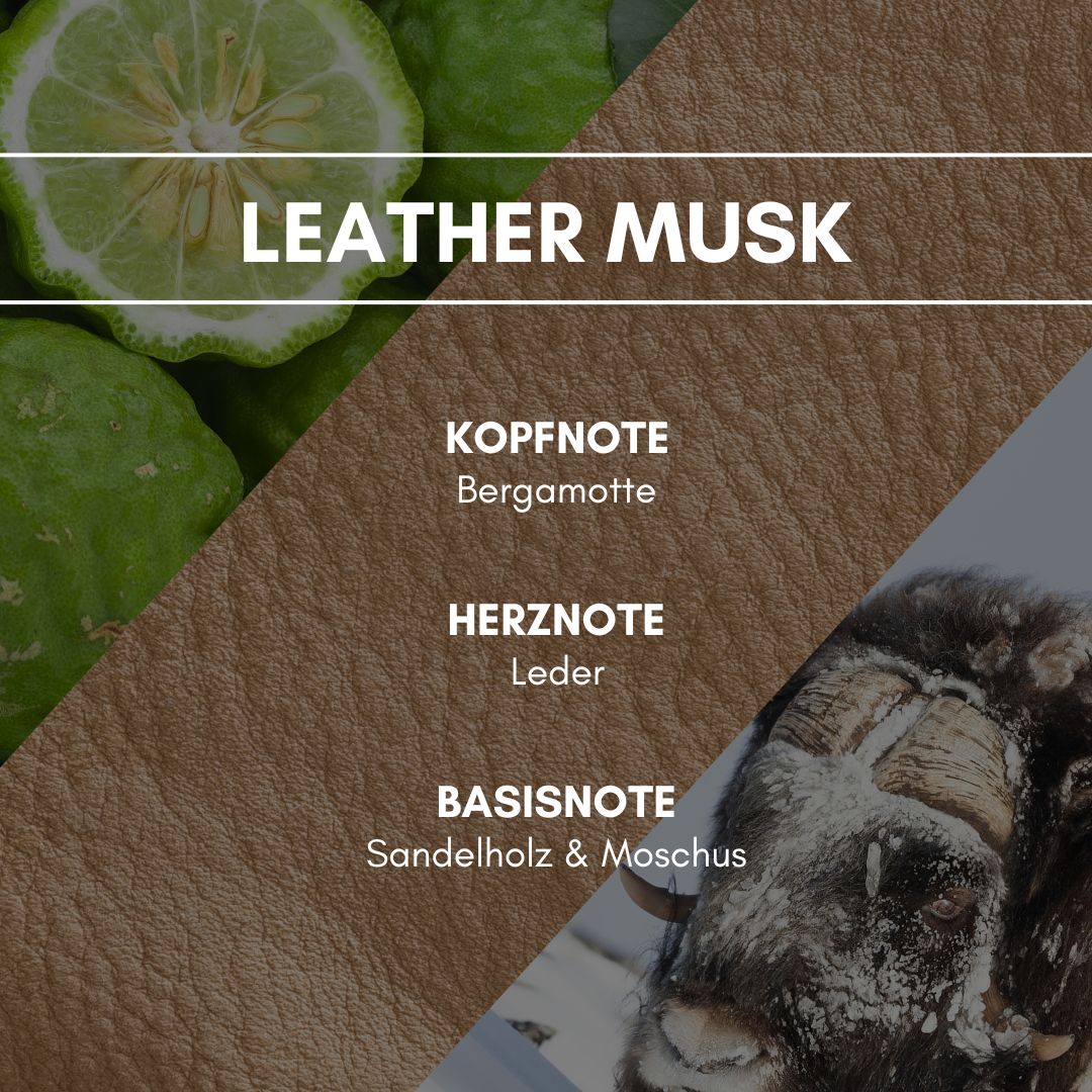 Duftpyramide Leather Musk