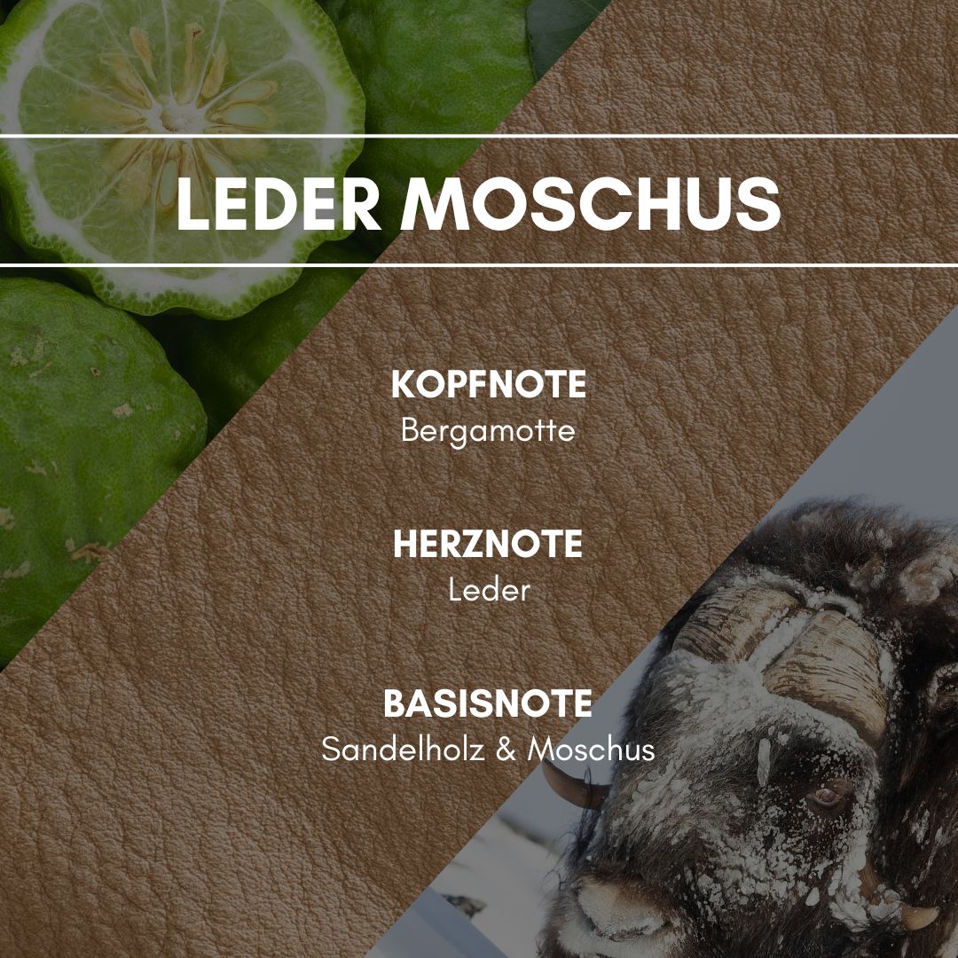 Raumduft "Leder Moschus": Der animalische Lockduft Moschus stärkt die Ledernoten durch seine anziehende Wirkung. Die frische Note der Bergamotte gibt dem Duft einen besonderen Charme.