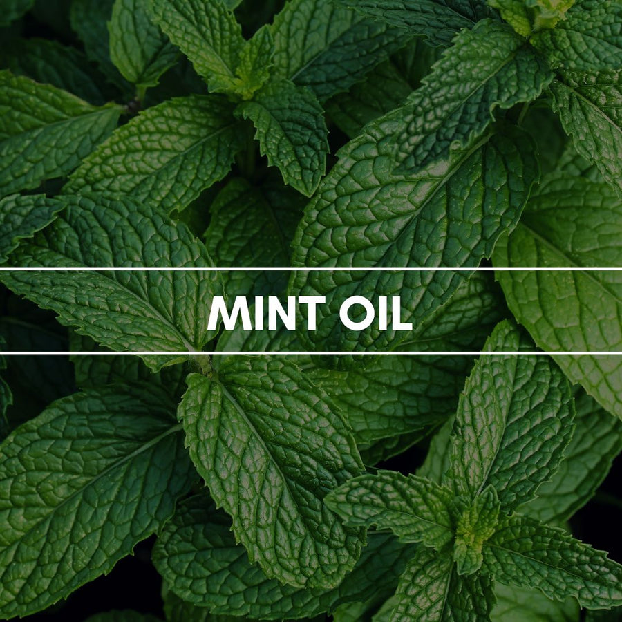 Duftpyramide Mint Oil