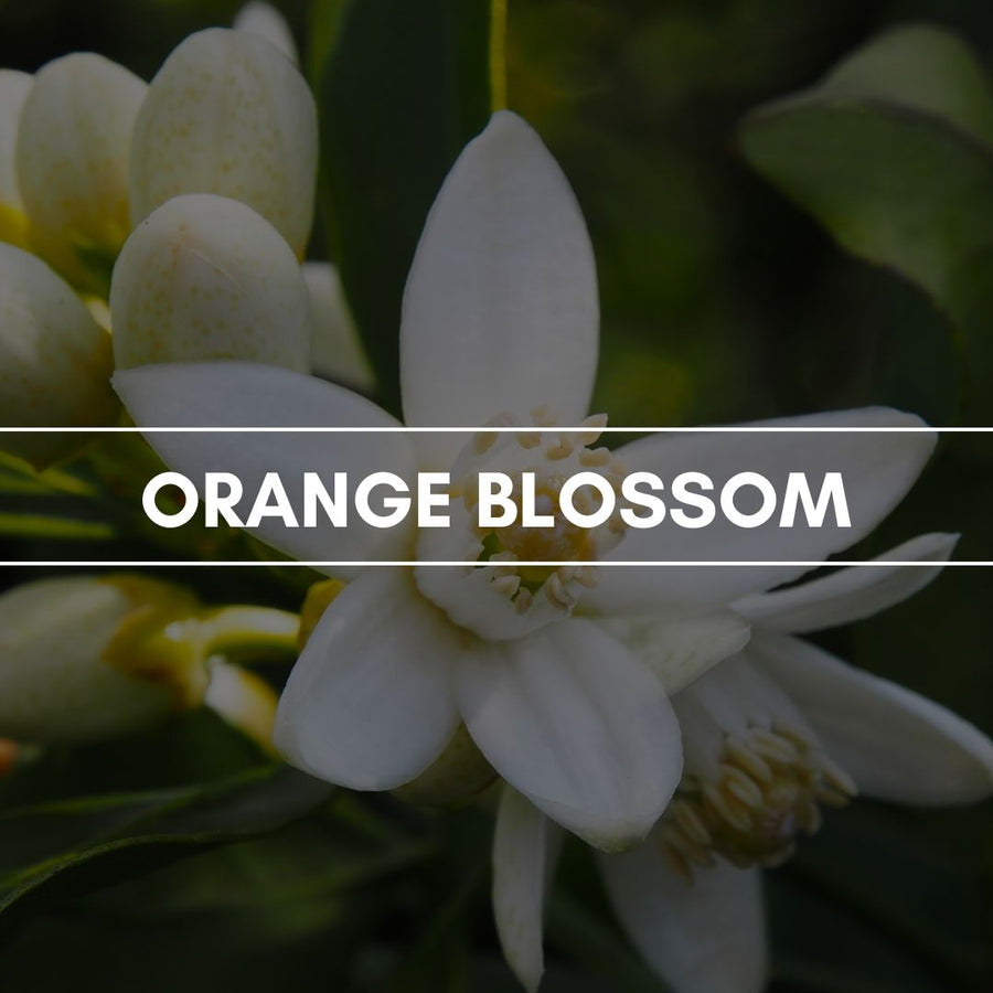 Duftpyramide Orange Blossom