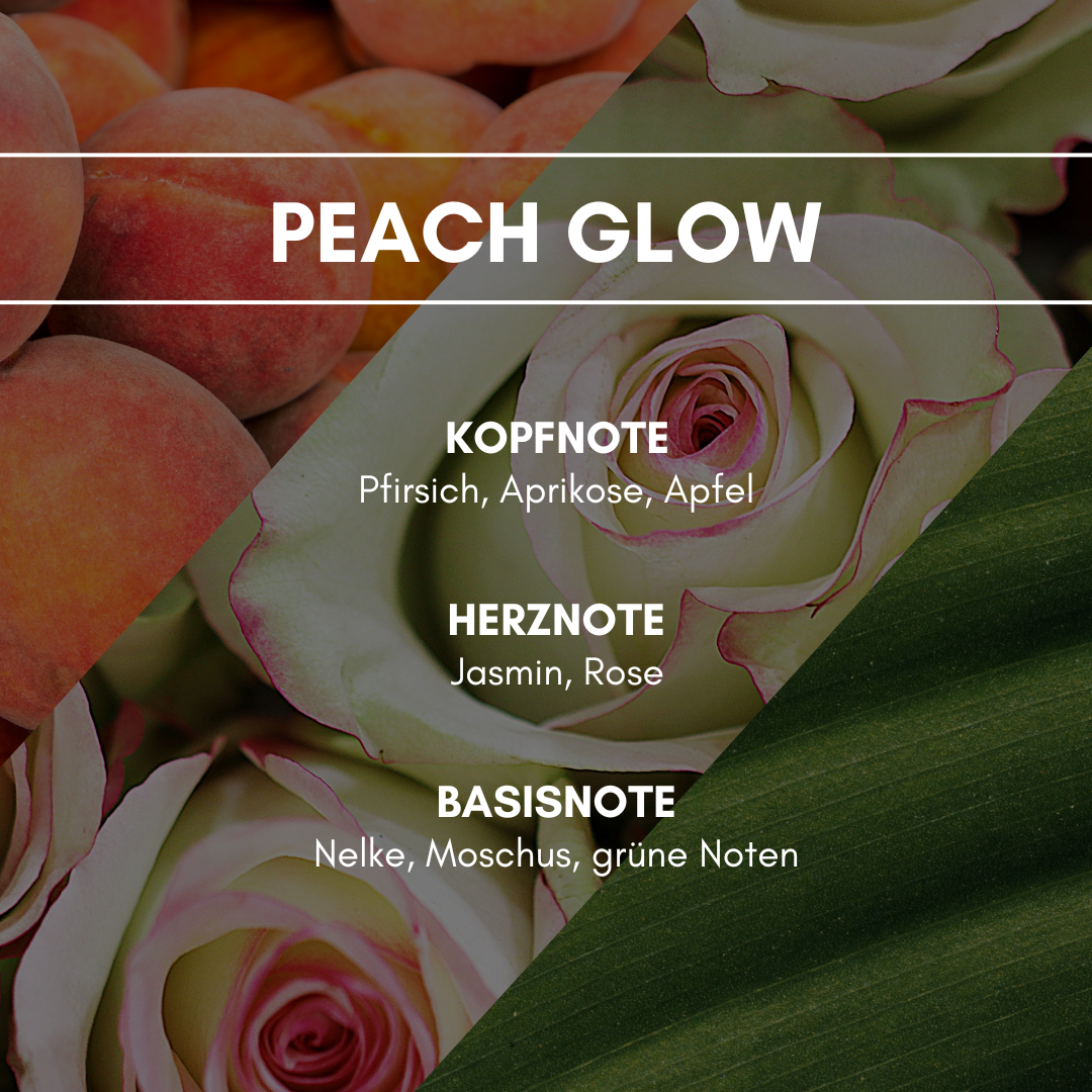 Raumduft Peach Glow für AromaStreamer