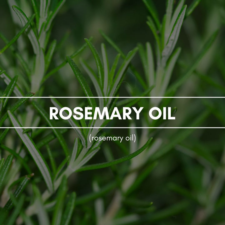 Duftpyramide Rosemary Oil