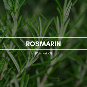 Raumduft "Rosmarin": Der intensive, würzig herb riechende Rosmarinduft belebt und aktiviert durch seinen kräftigen Charme.
