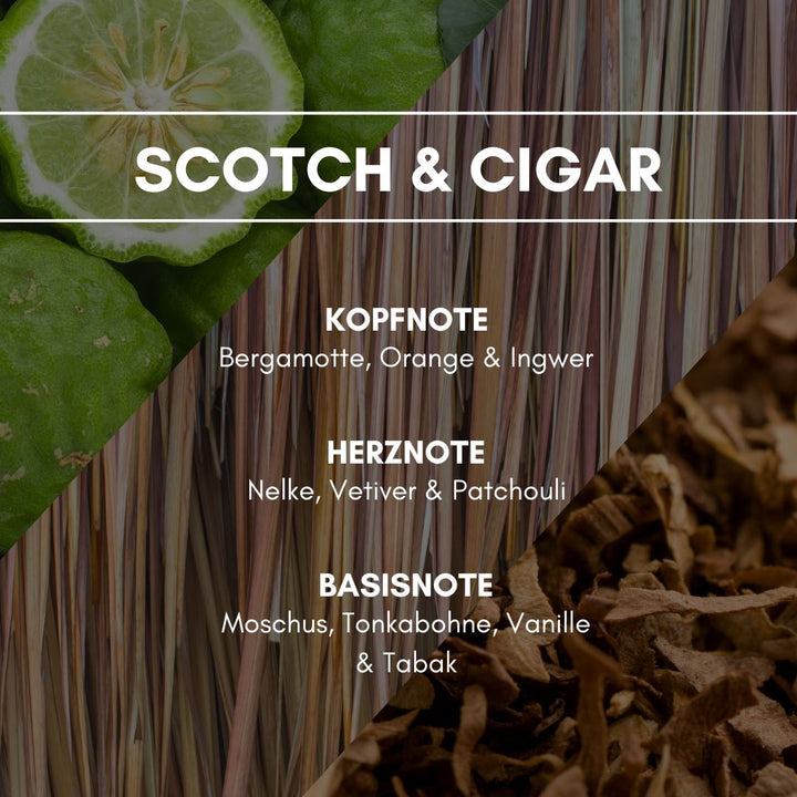 Raumduft "Scotch & Cigar":  Dieser charakterstarke Duft hinterlässt eine gediegene & rauchige Atmosphäre wie in einem englischen Gentlemen’s Club.  Für die erfrischend leichte Kopfnote trifft fruchtige Bergamotte auf die leichte Schärfe von Ingwer. Diese Kreation hinterlässt durch die würzig herbe Essenz von Tabak und einer leichten Vanillenote eine maskuline Signatur.