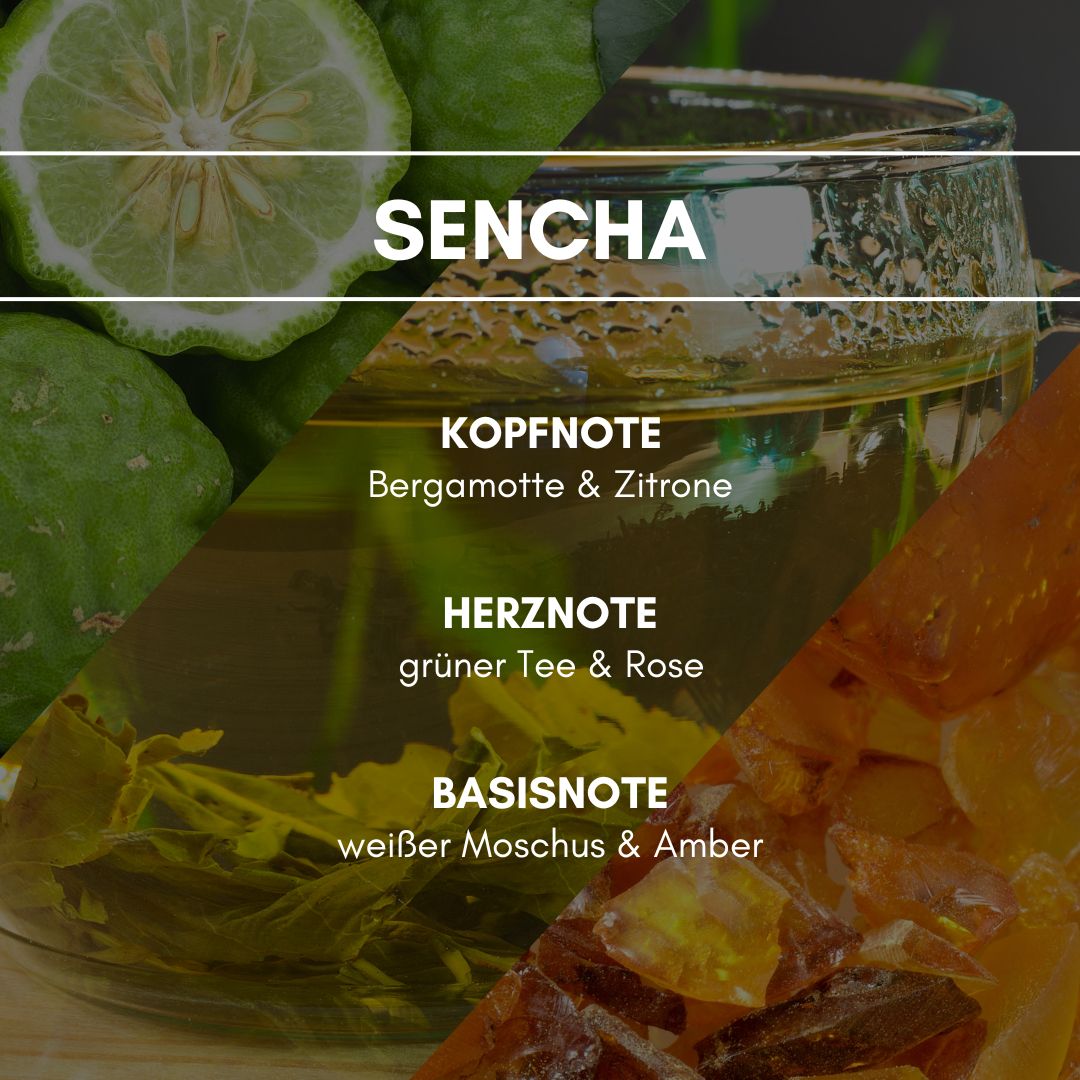 Raumduft "Sencha": Ein markanter „Grüner-Tee-Duft“. Der Charakter dieser japanischen Teemischung ist voller Lebensfreude und Energie. Die frische, zitrische Kopfnote wird von einem krautig, leicht blumigen Duft abgelöst und ist in einen Hauch von Ambra und Moschus eingebettet.