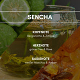 Sencha: Diese japanischen Teemischung ist voller Lebensfreude & Energie. Die frische, zitrische Kopfnote wird von einem krautig, leicht blumigen Duft abgelöst & ist in einem Hauch von Ambra & Moschus eingebettet.