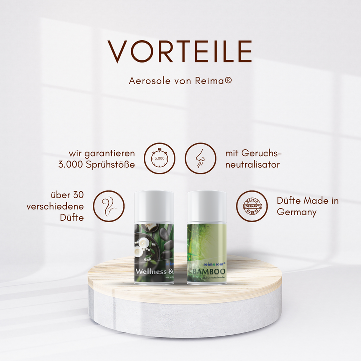 Starter Set Zen Garden