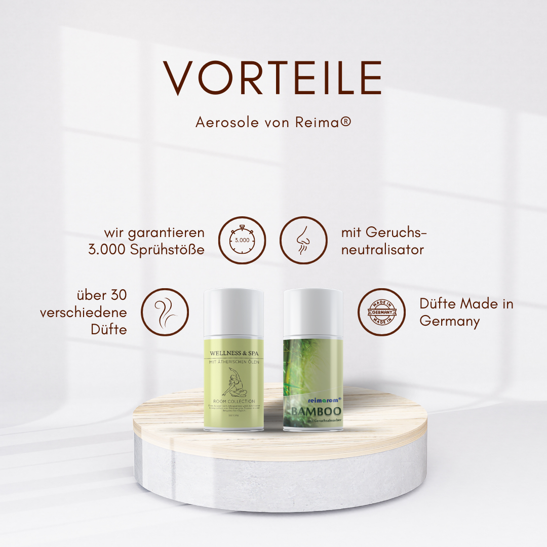 Starter Set Zen Garden