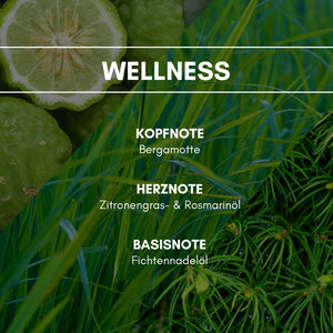 Aerosol Duftspray "Wellness": Eine Auszeit vom Alltagsstress wird durch eine Komposition von Lemongras, Rosmarin und Bergamotte möglich.