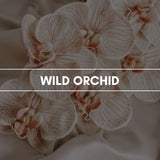 Raumduft "Wild Orchid": Ein blumiges Aroma, das durch seine romantisch süßliche und leicht grüne Note überzeugend im Raum wahrzunehmen ist.