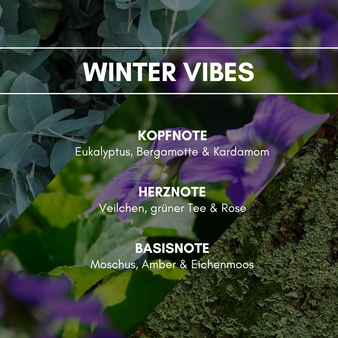 Raumduft "Winter Vibes / Winter": Eine kühle Parfümierung mit transparenten Nuancen der ätherischen Eukalyptuspflanze.