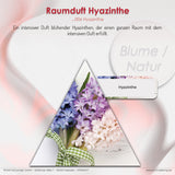 Duftpyramide Hyazinthe