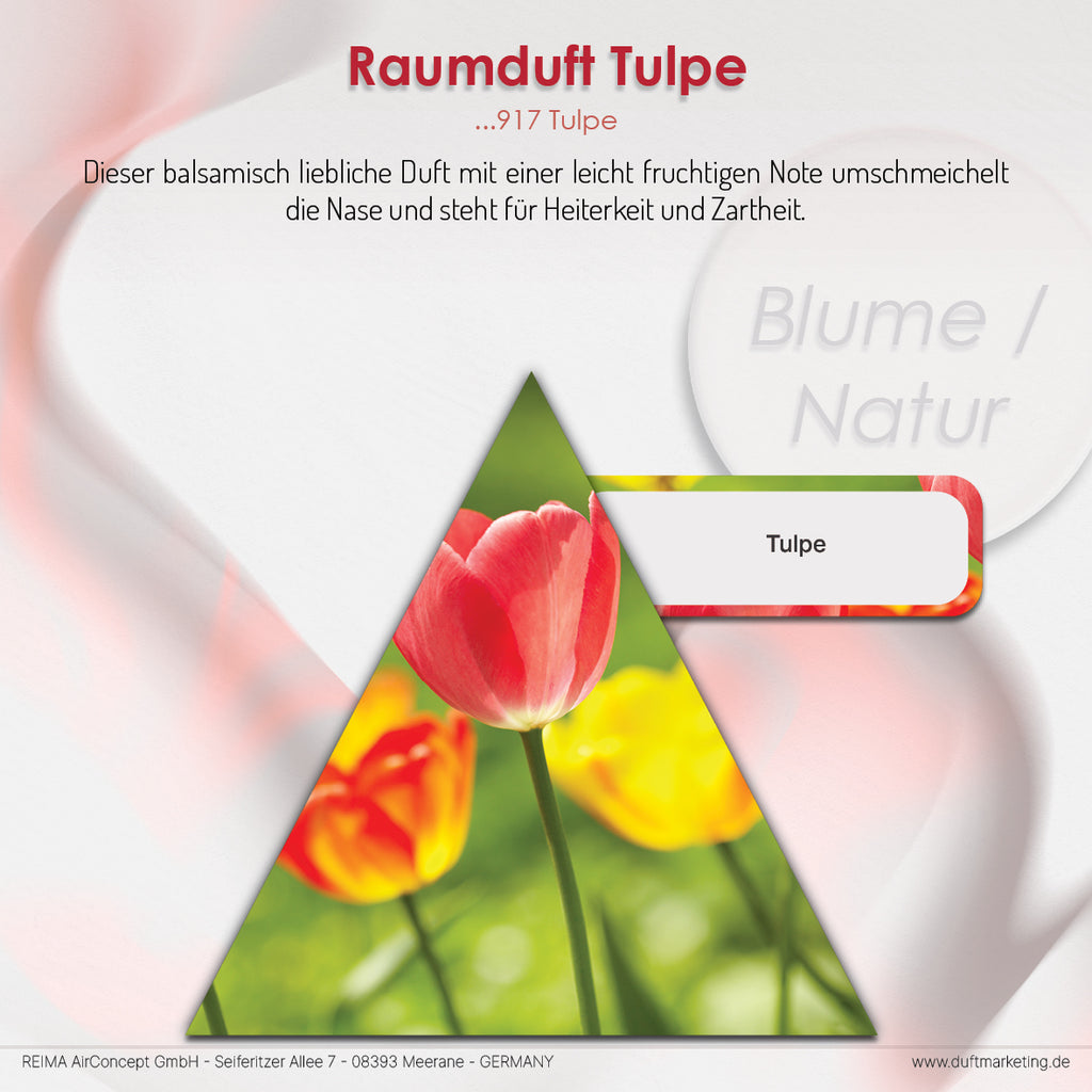 Duftpyramide Tulpe